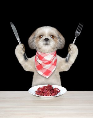 Köpek eti yemeye gidiyor