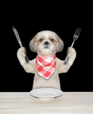 köpek yemek ve bıçak ve çatal tutun bitmiş 