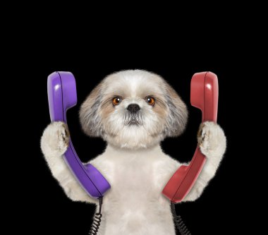 telefon ve çağrı yapacak köpek tutar 