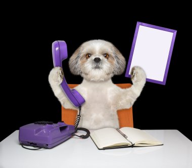 telefon ve çerçeve köpek tutar 