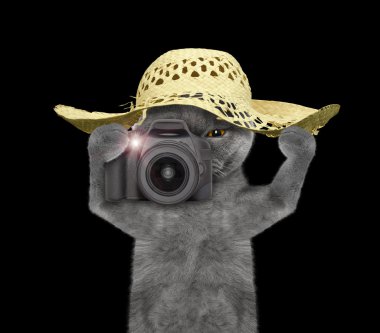 kedi turistik bir şey fotoğraf çekmek için gidiyor