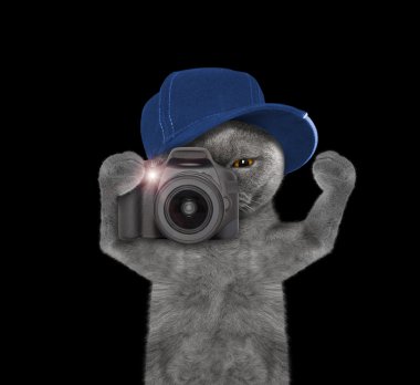 kedi yolculuk sırasında fotoğraf çekmek için gidiyor 