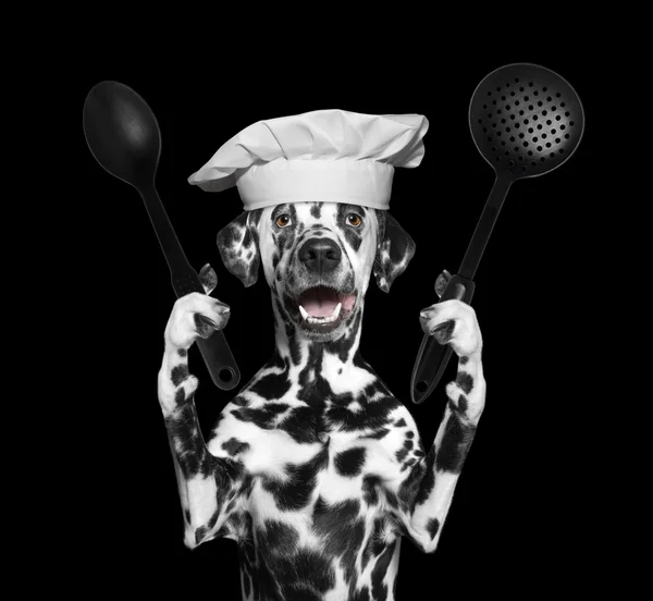 Cão chef vai preparar as refeições — Fotografia de Stock