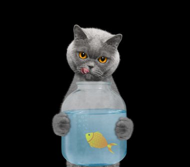 Cat is going to eat fish from the banks of the aquarium clipart