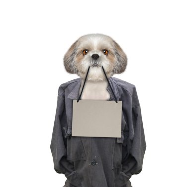 Kötü köpek tutan bir çerçeve içinde onun ağız kirli 