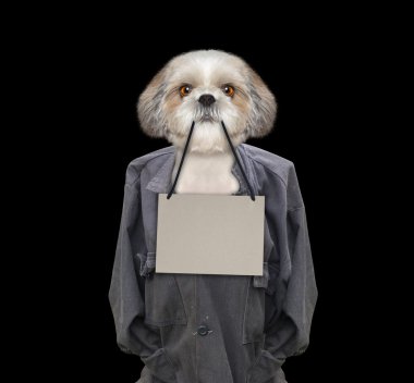 Kötü köpek tutan bir çerçeve içinde onun ağız kirli