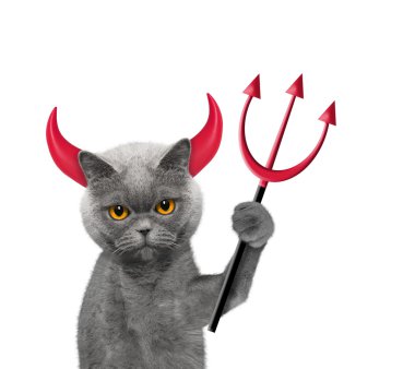 Cadılar Bayramı için kedi kostüm şeytandır 