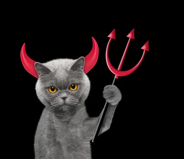 魔鬼是猫的服装万圣节 — 图库照片