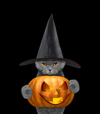 Kedi kostümlü halloweens kabak ile 
