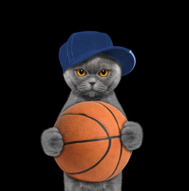 Şapkalı bir top tutan şirin kedi 