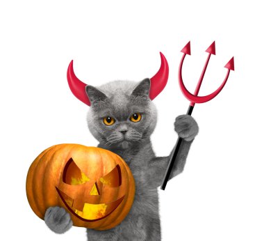 Cadılar Bayramı için şeytanlar kostüm kabak ile kedi 