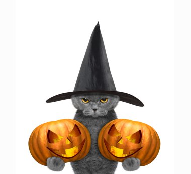 Şirin kedi kostümlü iki halloweens kabak ile