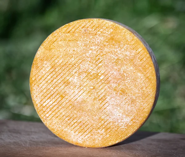 Fromage artisanal de lait de vache et de chèvre. Tête de fromage Images De Stock Libres De Droits