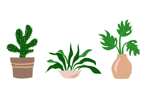 Plantas de jardim em vasos e flores frescas em vasos. Conjunto para projeto de estufa. Ilustração vetorial —  Vetores de Stock