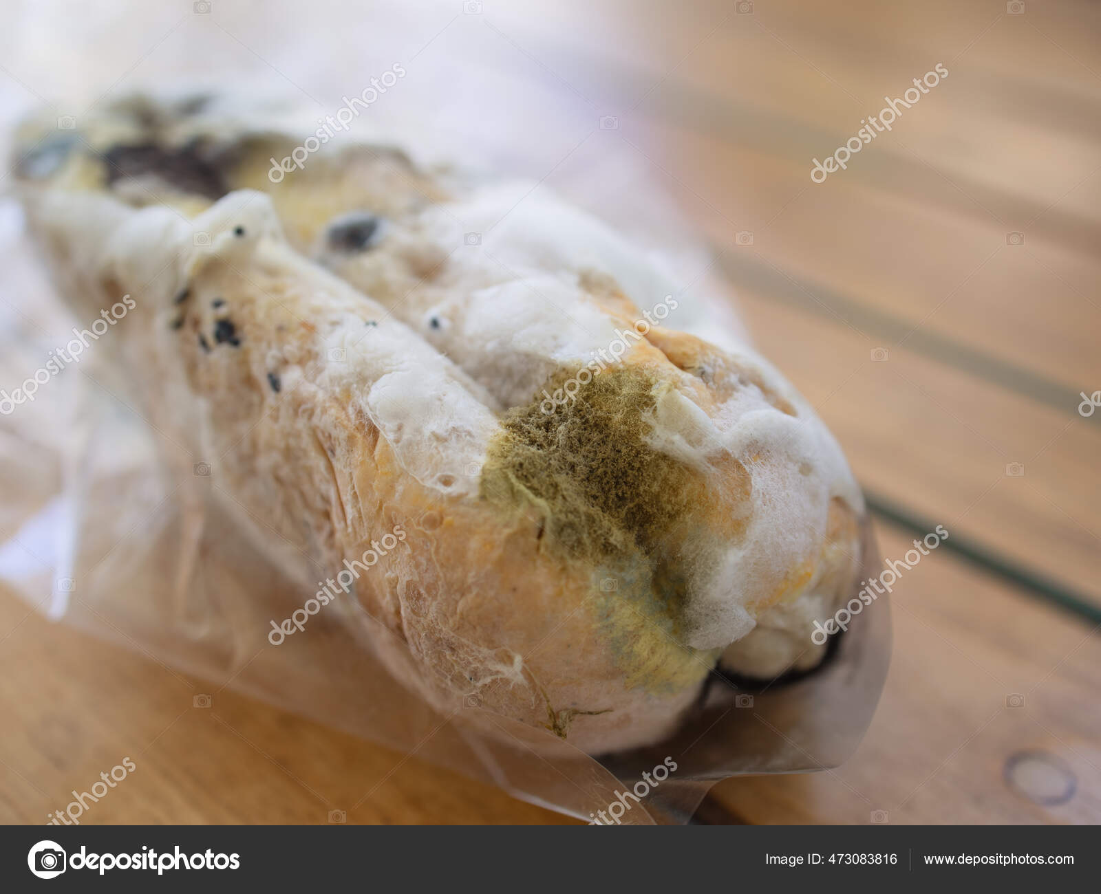 毛霉菌图库照片 免版税毛霉菌图片 Depositphotos