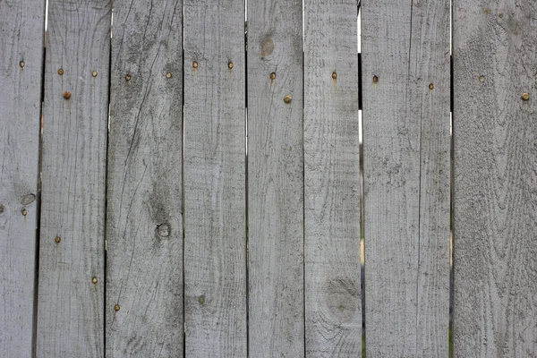 Gray textured wood background — Stock Photo, Image