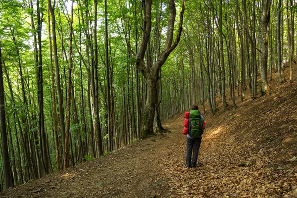 Sırt çantalı genç kadın.