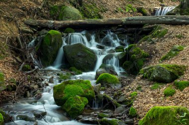 Dağ nehrinde taşlar