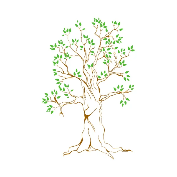 Ручное дерево с орнаментами — стоковый вектор