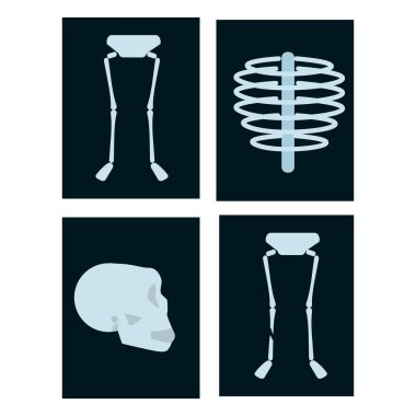 insan kafası x-ray