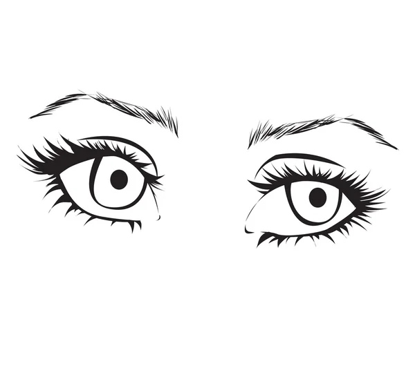 Female eyes outline. — Stock Vector