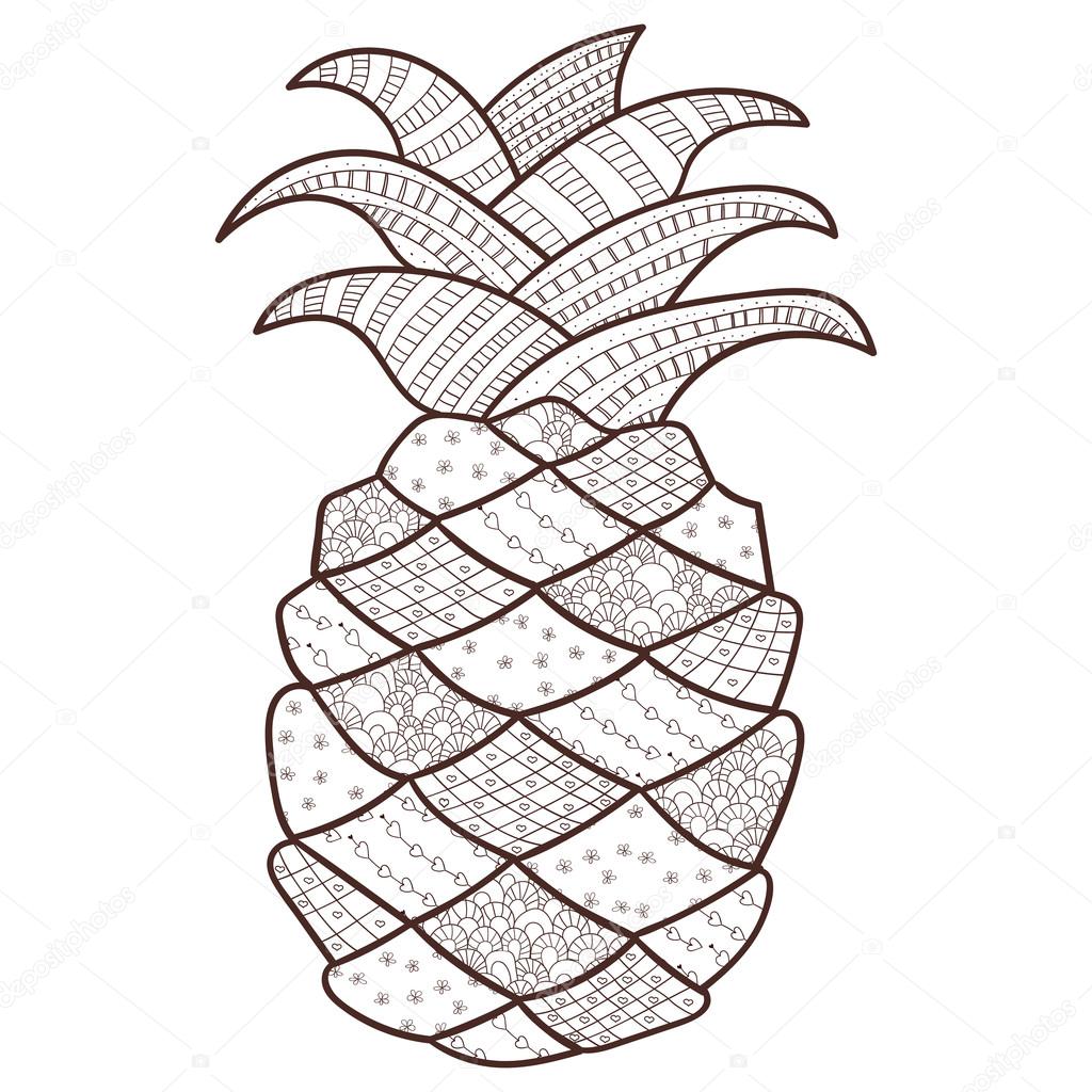 stock illustration pineapple adult coloring page whimsical