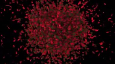 Sevgililer Günü sunumları ve anıları. Güller arka plan, şablon. Tip 2.