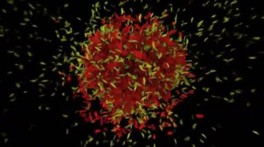 Çiçek yaprakları patladı. Kalp. Aşk hikayesi ve düğün videosu için iyi..