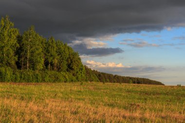 Alan kenar, orman, bulutlar başgösteren