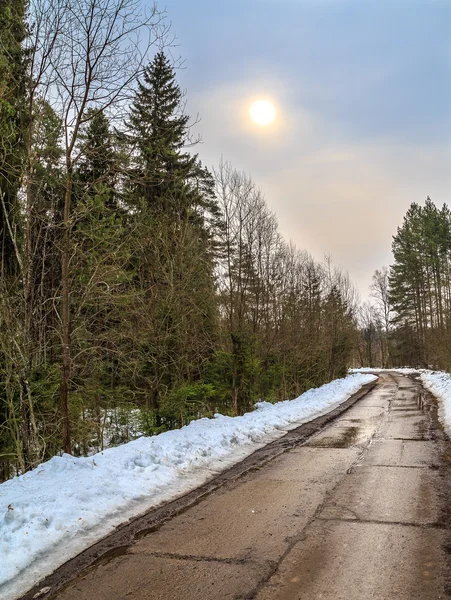 Droga w lesie tylko stopionego śniegu — Zdjęcie stockowe