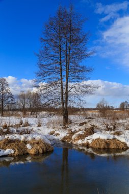 Kızılağaç nehir kış günü