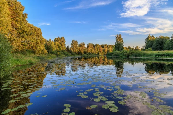 Yaz gecesi, nehrin nilüferler ile