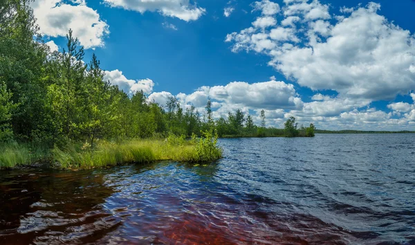 Wielki rosyjski rzeka Wołga, letni pochmurny dzień, kamienie prześwitywać wody — Zdjęcie stockowe