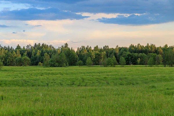 Поле и лес, разноцветные облака — стоковое фото