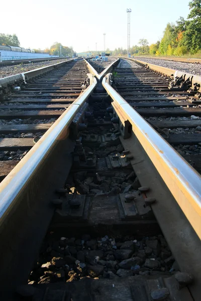 Rails in the woods — Stock Photo, Image