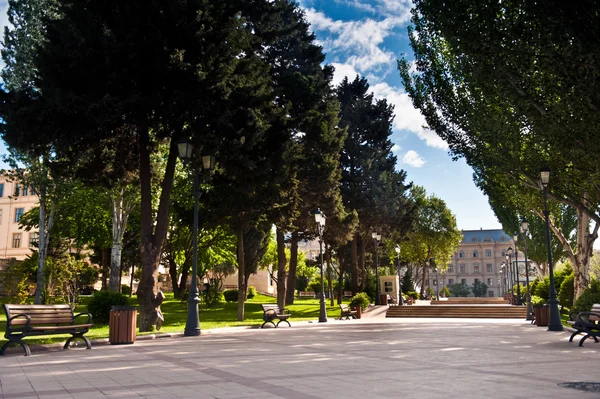 Şehir merkezine ağaçlarla park et. — Stok fotoğraf