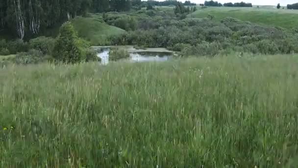 survolant la forêt et la rivière près de la route 