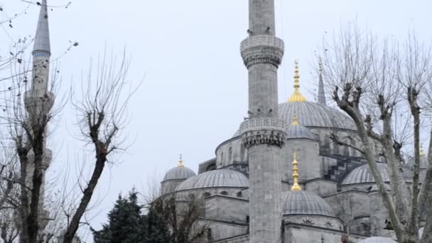 Şehir merkezinde ağaçlar etrafında Ulu Camii — Stok video