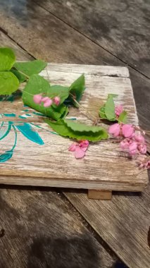 Bahçedeki güzel çiçekler