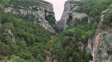 Dik bir dağ geçidine bakan büyüleyici bir hava perspektifi. Kristal berrak nehir engebeli vadide süzülür, bereketli ormanlık ile kaplanır.