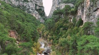 Aşağıda akan bir nehirle engebeli bir dağ kanyonunda süzülürken nefes kesici bir hava perspektifi. Sarp kayalıklar yükseldi, canlı çam ormanlarıyla kaplandı.