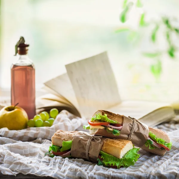 Sommar picknick med smörgåsar — Stockfoto