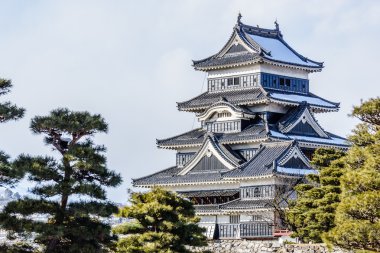 Kışın, Nagano, Japonya Matsumoto geleneksel Kalesi tutun