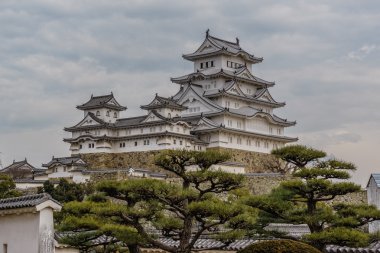 Devam et güzel beyaz ünlü Himaji City, Japonya