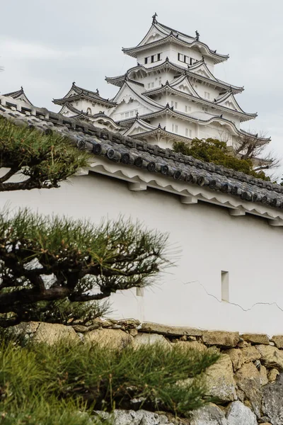 Devam et güzel beyaz ünlü Himaji City, Japonya
