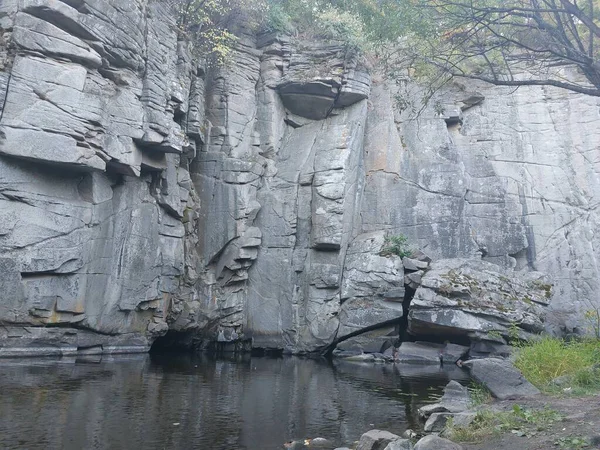 Ormandaki nehrin güzel manzarası