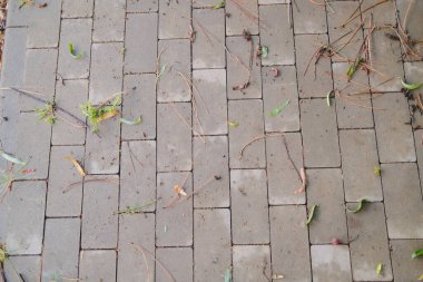 Fallen leaves and branches cover the gray brick paving stones.
