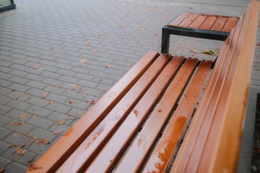 The wooden bench and pavement are damp after rain. Fallen leaves are around.