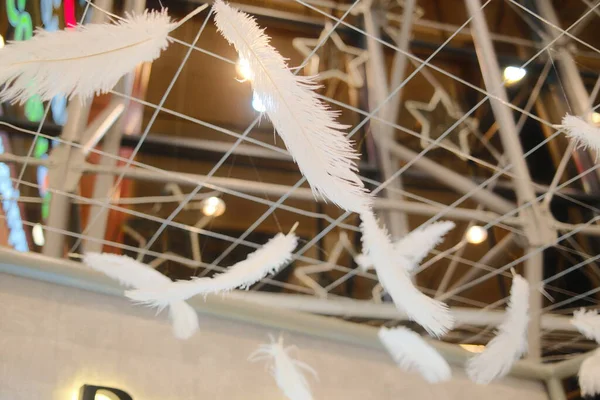 White feathers hang from a frame. Metal, stars, and warm lights appear behind.