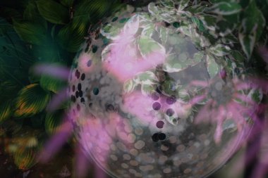 Bakışlar bahçedeki çiçekleri ve bitkileri yansıtır ve soyut bir bakış açısı yaratır..